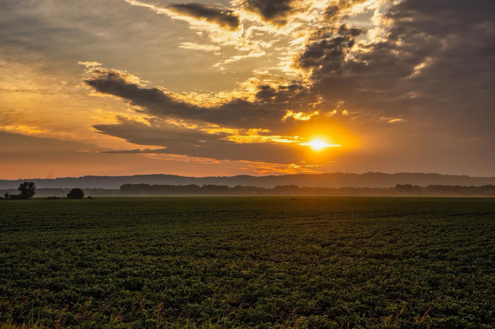 Golden-hour sunset over open farm country, the rural communities Whitworth Horn and Goetten serves